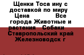 Щенки Тоса-ину с доставкой по миру › Цена ­ 68 000 - Все города Животные и растения » Собаки   . Ставропольский край,Железноводск г.